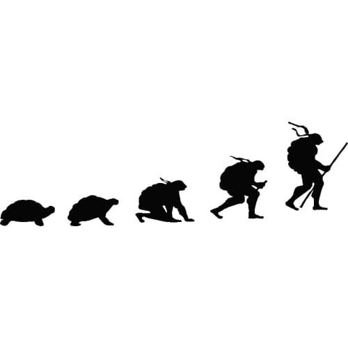 7x26cm Ninja Evolution Stickers Car Decal Window Art Bumper Car Rear windshield Decor Unique WaterProof T114