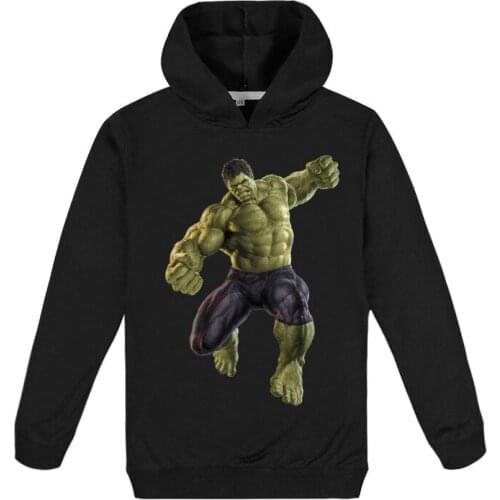 Hulk Boys Girls Spring Autumn Hoodies Children Cartoon Printed Hooded Sweatshirts Kids Pullover Long Sleeve Casual Wear Clothes