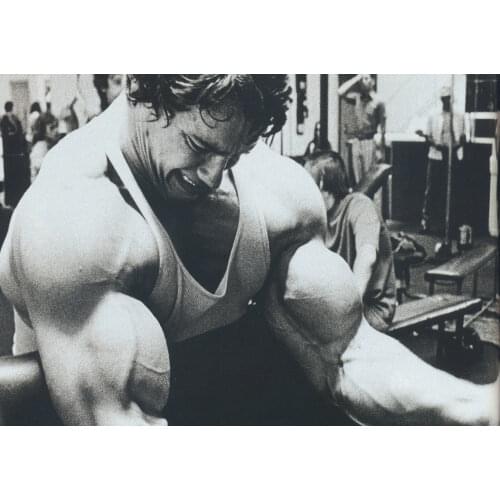 Arnold Schwarzenegger Bodybuilding Art Film Print Silk Poster Home Wall Decor 24x36inch