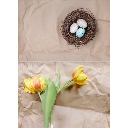 Kraft Paper Flower Blue Egg Photography Background Photo studio Backdrop Vinyl