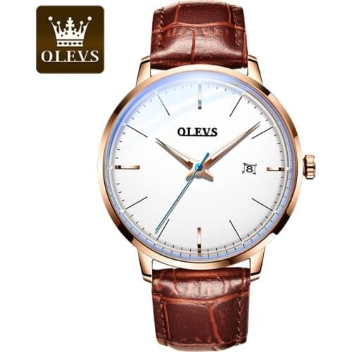 SysFla Men's Wrist Watch