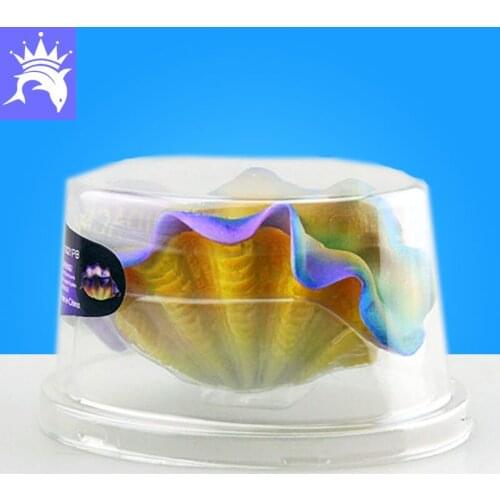 Aquarium Decoration Artificial Shell Aquarium Luminous Sea Shell Car Rectangular Shell