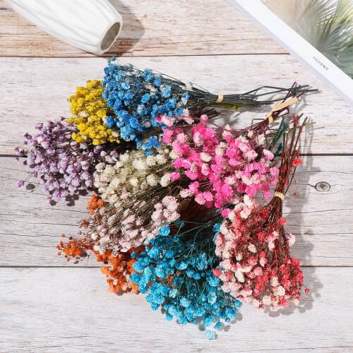9Colors Mini Babysbreath Natural Fresh Dried Preserved Flowers Small Real Flower Bouquet Home Party Decorative Dry Press Flowers