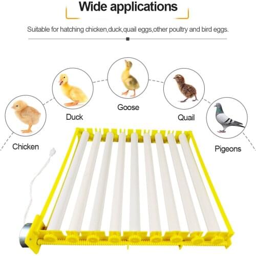 High Quality Incubator Tray Plastic 9 Rollers 105 Eggs 68 Duck Eggs 198 Bird Eggs Tray110V/220V12V with Automatic Rotating Motor