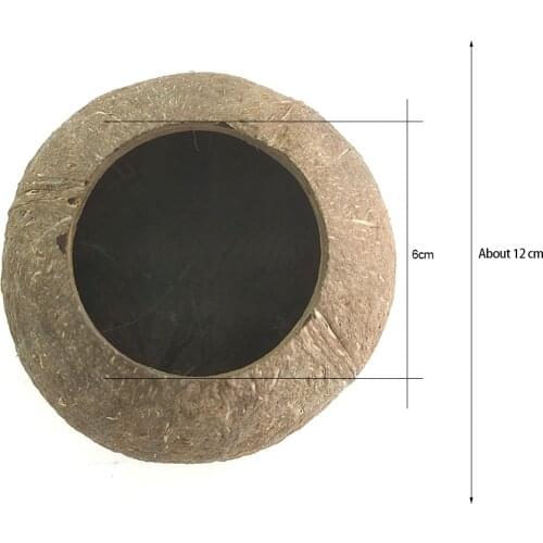 Natural Coconut Bowl Decoration Fruit Salad Noodle Rice Bowl Wooden Fruit Bowl Handicraft Decoration Creative Coconut Shell Bowl