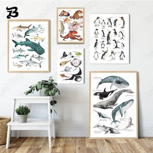 Modern Art Multiple Marine Animals Dolphin Octopus Canvas Painting Education Wall Pictures Pictures for Baby Kid Room Decoration