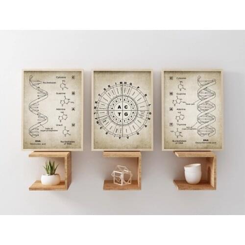 DNA and RNA Genetic Code Wall Art Canvas Painting Prints Genetics Biochemistry Student Gift Vintage Wall Decor Posters Science