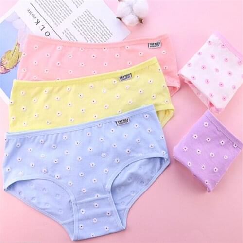 New Arrived 4Pcs/Lot Girl Panties Underwear Lace Briefs Cotton Lingerie Soft Comfortable Bowknot Cartoon Panty Wholesale T9184