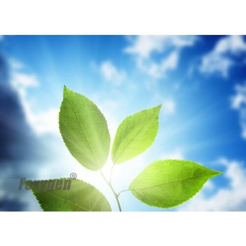 Pop stretch ceiling film false ceiling price for ceiling sheet from china manufacturer