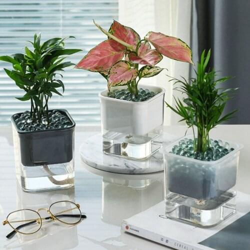 Transparent Visible Flower Pot Automatic Water Absorption Hydroponic Flower Pots Desk Decoration Garden Accessories