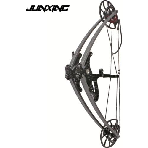 M109A Compound Bow 35-65 lbs Draw Weight for Adult Hunter Archer Outdoor Hunting Shooting Aluminum Alloy Sport Game Bow Archery
