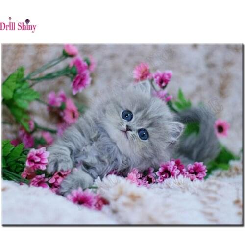 5D Diy Full diamond embroidery Kitten set play flower picture diamond Painting home decor diamond mosaic Needlework cross stitch