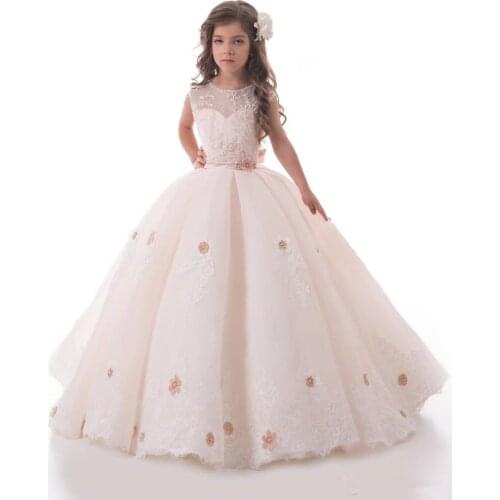 Light Blush Pink Flower Girl Dresses For Weddings Lace Applique Kids Ball Gown Girl Sweep Train First Communion Dress
