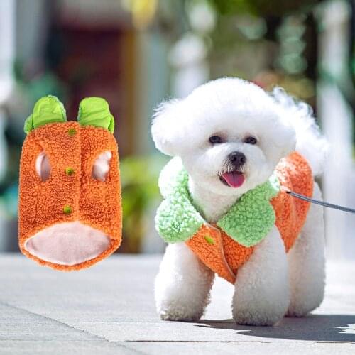 Jackets For Dogs Hippypaw China