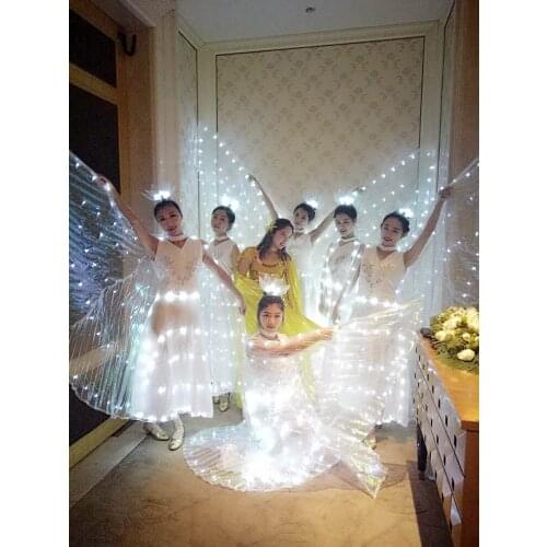 Ballet Costume Adult Female LED Light Wings Cape Cloak Glowing Skirt Butterfly Dance Children Performance Costume