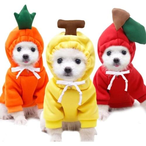 Pet Dog Halloween Clothes Dogs Fashion Fruite Cosplay Cloth Dog Hoddie Cat Winter Clothing Party Cosplay Apparel