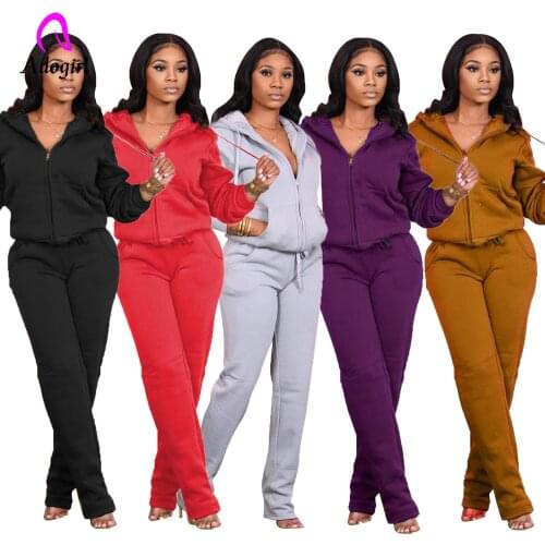 Thick Warm Fleece 2 Piece Sets Women 2020 Sporty Tracksuits Long Sleeve Hooded Zipper Jackets + Loose Sweatpants Matching Outfit