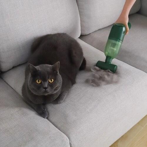 Electric Pet Hair Removal Device Cat Hair Removal Adsorption Pet Bed Brush Cleaning Vacuum Cleaner Household