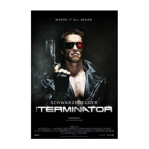The Terminator Movie Art Film Print Silk Poster Home Wall Decor 24x36inch
