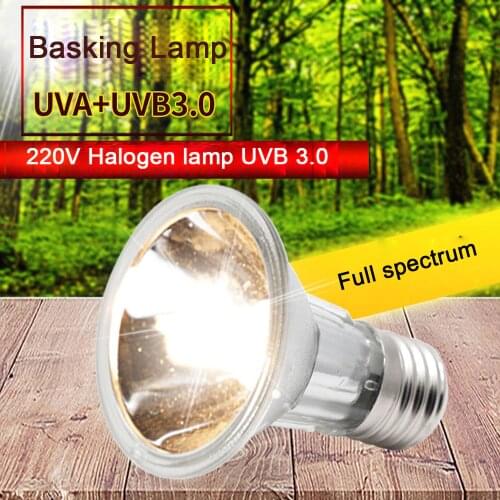 25/50/75W UVA+UVB 3.0 Reptile Halogen Lamp Bulb Turtle Tortoise Basking Lamp Amphibians Lizards E27 Heating Light Full Spectrum