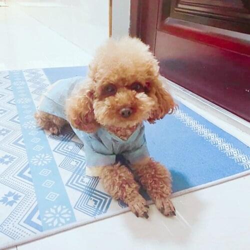 Short Sleeve Summer Pet Dog Clothes Mesh Breathable Dog Cooling Tshirt Vest French Bulldog Yorkie Clothing A61