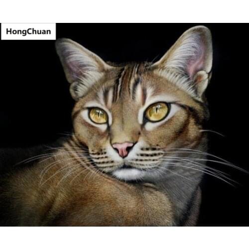 5D DIY full square round diamond painting tiger cat figure diamond mosaic crafts diamond embroidery rhinestone decoration gift