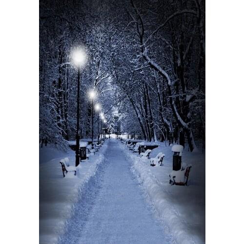 Snow road forest photo background vinyl fotografia vlog photography backdrops for photo studio props scenic photophone lv-2592
