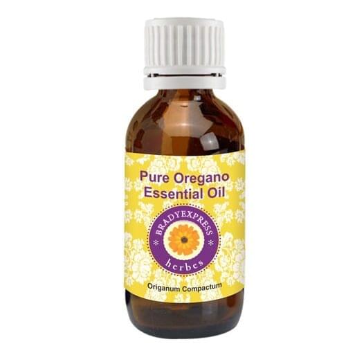 FRee Shipping Pure Oregano Essential Oil (Origanum vulgare) 100% Natural Therapeutic Grade 5ML