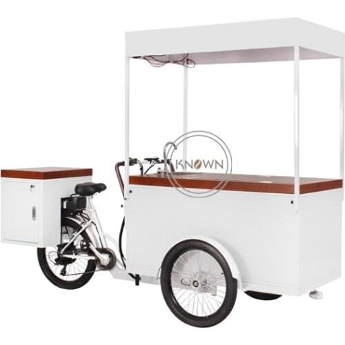 Fashion Cargo Bike Pedal and Electric Adult Tricycle Street food Cart With Refrigerator