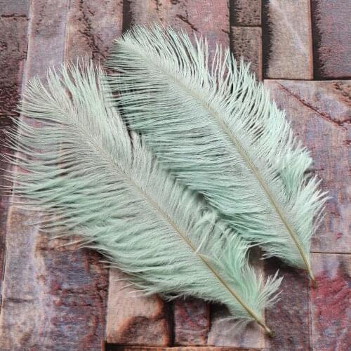 Wtluckystar Decorative Feathers