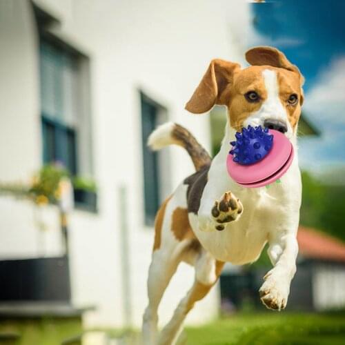 2021 New Dogs Bestsellers Products Puzzle Rubber Toy Leaking Food Flying Saucer Interactive Biter Feeder Plate toys For Dogs