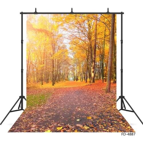Trees Yellow Leaves Path Photography Background Vinyl Cloth Backdrop Photo Studio for Children Baby Portrait Scenery Photoshoot