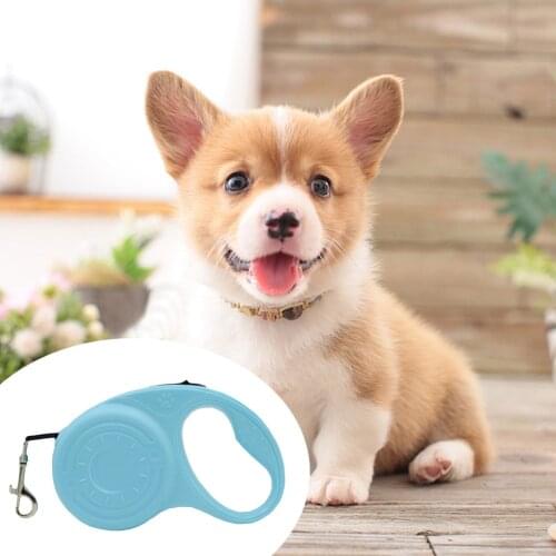 Adjustable Retractable Dog Walking Leash Portable Outdoor Play Leash Pet Training Long Belt Pet Supplies