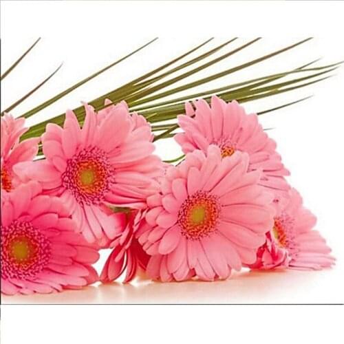 Chrysanthemum Diamond painting cross stitch Kit Diy Diamond embroidery Full coverage 3d square diamond mosaic rhinestones ticker