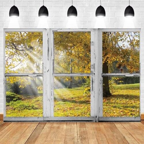 Yeele Window Backdrop Wood Fame Photography Autumn Glitter Forest Baby Portrait Background Photographic Photo Studio Photozone