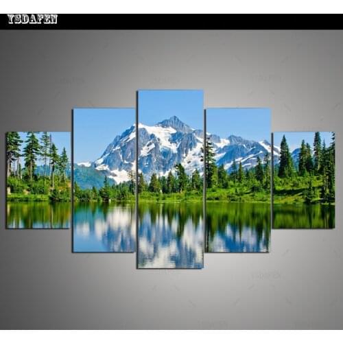 Drop Shipping Wall Decor Snowberg Canvas Painting Pictures Modular Paintings Wall Art Canvas Prints Framed art HG-323