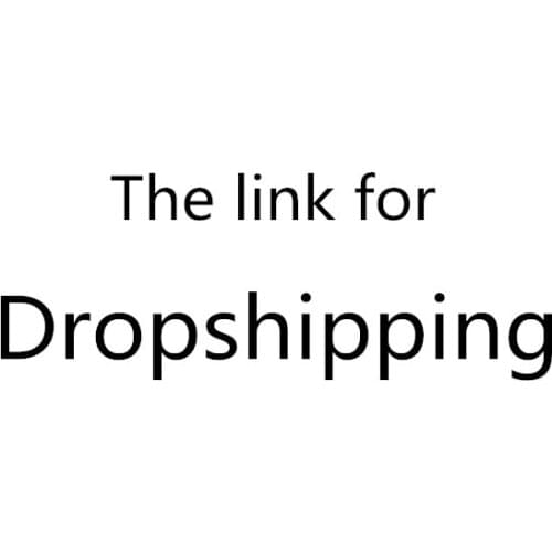 The Link Just for Dropshipping