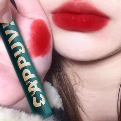 Christmas Limited Lip Gloss Velvet Matte Lipstick Mirror Surface Lip Glaze Women Beauty Cosmetic Lip Makeup Natural