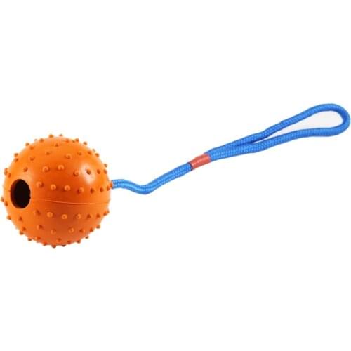 Rubber training ball classic dog toys