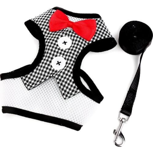 Black Plaid Printed Dog Harness Leash Pet Chest Strap Leashes Sets Cute Bow Knot Chest Belt For Small Dogs Walk Dog Accessories
