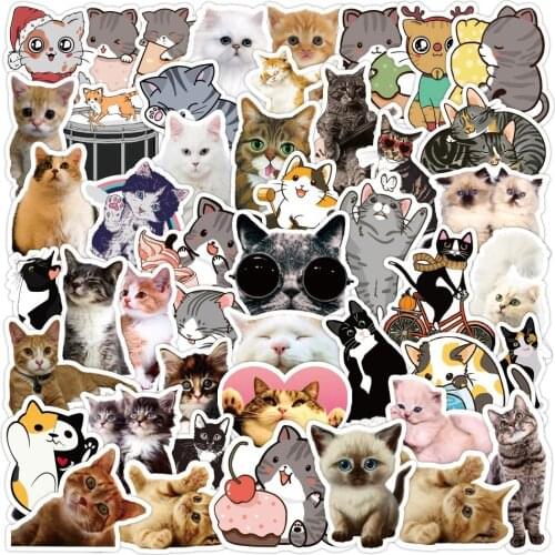 10/50PCS New Kawaii Cat Stickers Decal For Girl Cute Cartoons Animal Sticker DIY Suitcase Stationery Fridge Water Bottle Guitar
