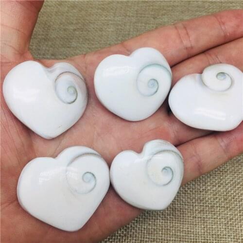 5pcs Natural Sun shell fossil Fossil heart Specimen Crystal Love Heart Reiki