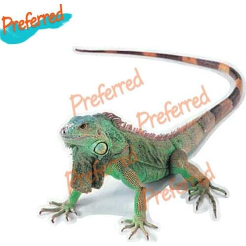 Exquisite In Hot Trend Car Stickers Car Universal Hot 3D PVC Car Sticker Li.zard Scorpion Spider Cool Car Body Window Sticker