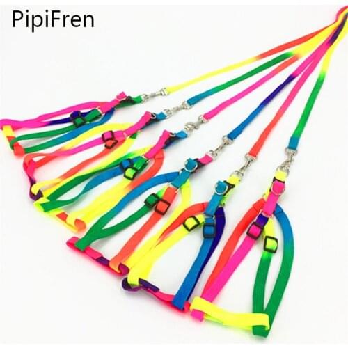 Украшения для животных PipiFren China At AliExpress
