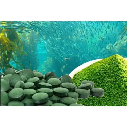 Food grade spirulina powder ornamental cherry shrimp shrimp seedlings opening enhanced resistance fish food feed koi burger