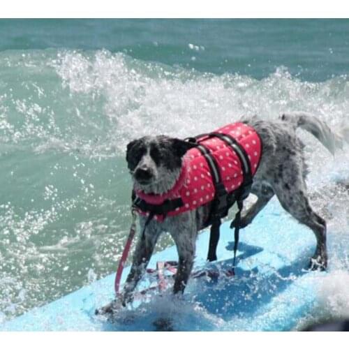 Summer Seaside Dog Life Vest Jacket Towser Safety Clothes Swimwear Pets Swimming Suits