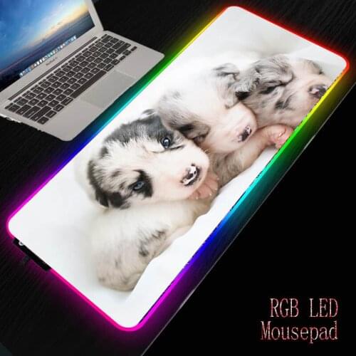 MRGBEST Cute Dog Husky Animal Mouse Pad RGB Large Mouse Pad Gamer XXL Mouse Carpet Big Mause Pad PC Desk Play Mat with Backlit