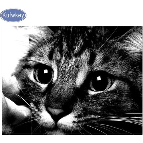 5D DIY Diamond mosaic cat,100% Diamond Embroidery Full Display animal,black whitecute cat DIY full Square round Diamond decor