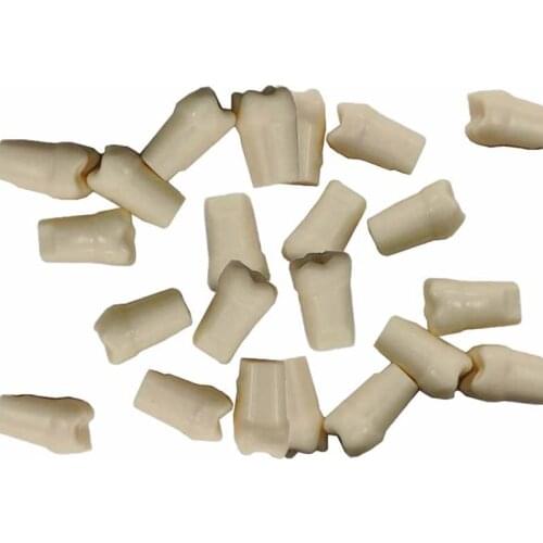 28pcs/pack Dental Simulation Teeth Tooth Grain Teaching Model Dental Lab Material Simulated Teeth Model for Dentist Exam