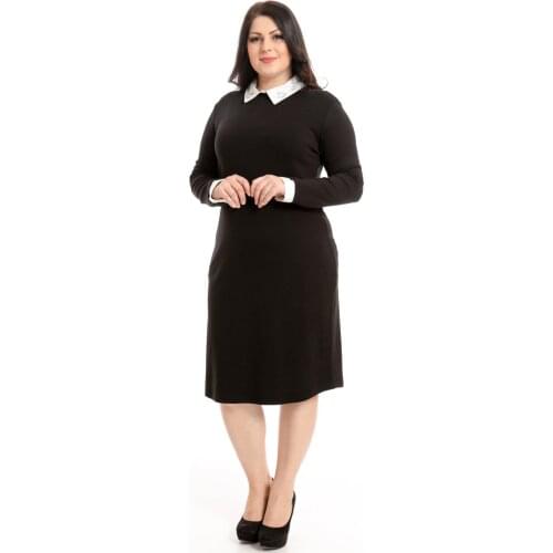 Hanezza Plus Size Steel Mesh with Attached Collar Dress